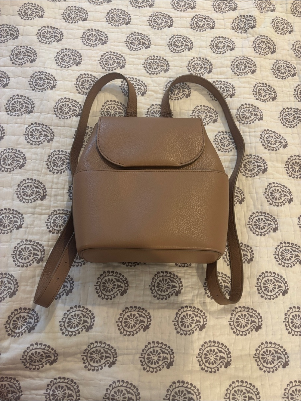 Cuyana Backpack Leather Purse